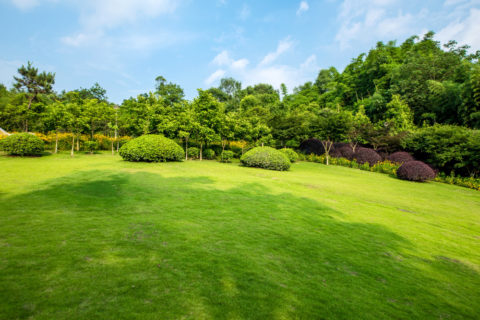 Les avantages du gazon synthétique pour les jardins