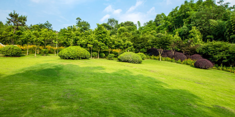 Les avantages du gazon synthétique pour les jardins